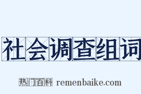 社会调查组词是什么意思的图片